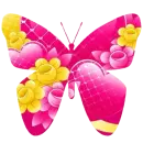 Pink Butterfly