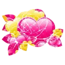 Pink Yellow Rose