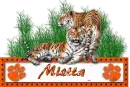 Mietta