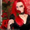 Delicate n Thorny FB profile 