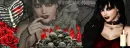 If I was your Vampire FB cover