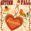 AUTUMN FALL - CONNIE
