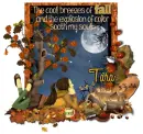 Tara - Autumn Fall