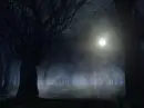 Background - Halloween