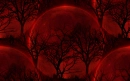 Red Moon