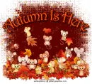 Autumn Is Here