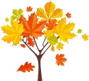 Autumn Tree
