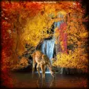 Autumn Deer