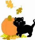Cat with Pumpkin