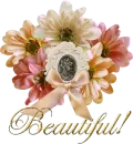 Beautiful!