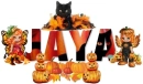 Jaya