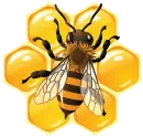 Honey Bee