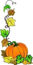 Pumpkim with Vine