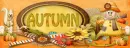 Autumn Theme