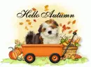 Hello Autumn