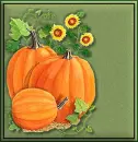 pumpkin background