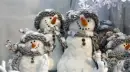 Snow Family