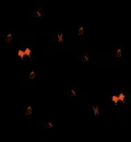 ORANGE BUTTERFLY BACKGROUND