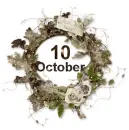 2014.10