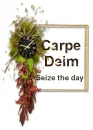 Carpe Deim