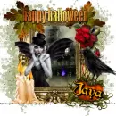 Jaya - Happy Halloween - Pumpkins