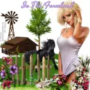 In the Farmland