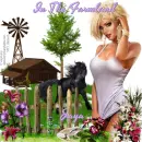 In the Farmland - Jaya