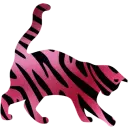 Tiger Cat