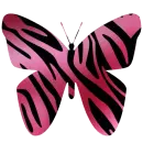 Tiger Butterfly