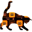 Halloween Cat