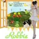 Robbie -Spring version 2
