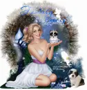Fantasy of fairy/Robbie