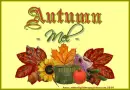 Mel - Autumn -  Colors
