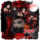 Jaya