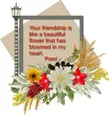 Your Friendship- Pami