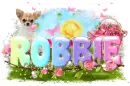Robbie-Spring Colors