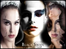 Black Swan