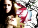 New Moon
