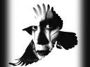 The Crow 1