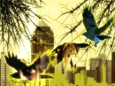 The Crow 3