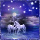 Twilight Togetherness