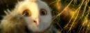 GaÂ´hoole The leyend of The Guardians
