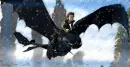 How to train your Dragon