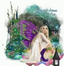 May your dreams come true/Fairy