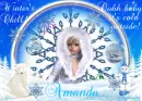 AMANDA
