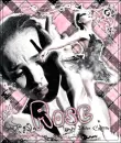 Black Swan - Rose