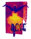 Black Swan - Rose