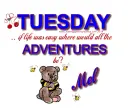 Mel - Tuesday - Bear