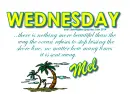 Mel - Wednesday - Palm Trees
