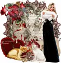Romantic Rose